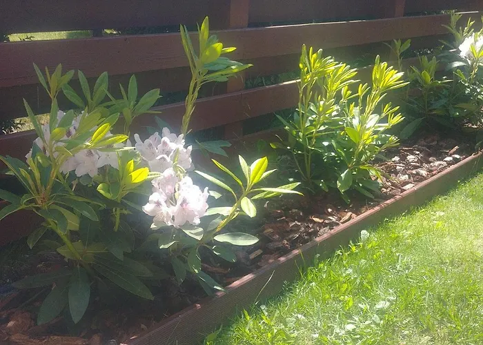 Apartament Jantar Z Ogrodem